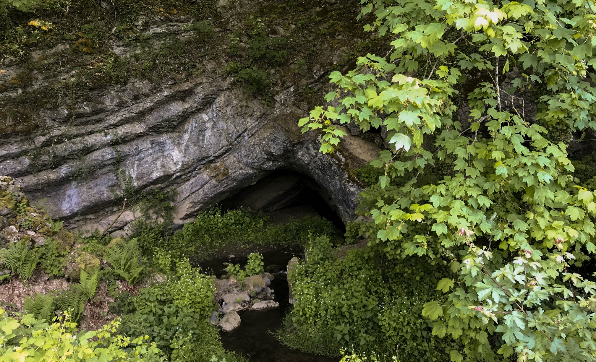 Grottes de Neptune